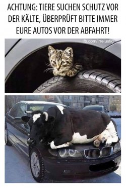 FB_IMG_1727976315459.jpg