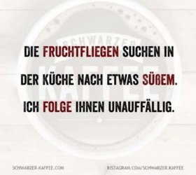 IMG_1730.jpeg