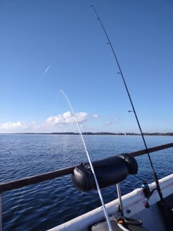 IMG-20241005-WA0005.jpg