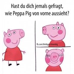 FB_IMG_1728119647624.jpg