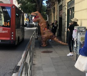 1728312592739.jpeg