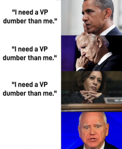 1728380536854.png