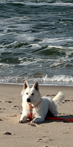 IMG_6710.jpeg