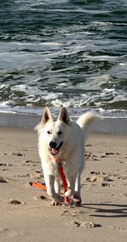 IMG_6709.jpeg