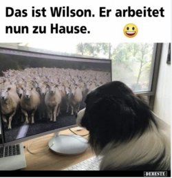 1728978040342.jpeg