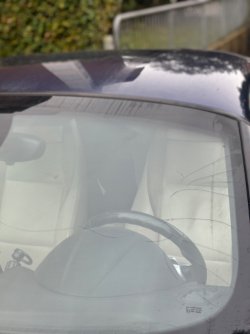 IMG_3086.jpg IMG_3086.jpg