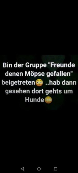 FB_IMG_1729111604546.jpg