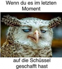 IMG_8665.png