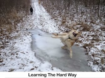 IMG_4821.jpeg
