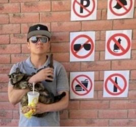 nocats.jpg