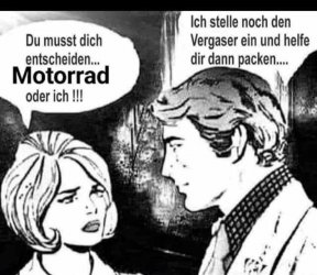 mopped oder ich.jpg