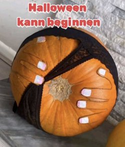 IMG_9343.jpeg