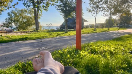 IMG_7329.jpeg