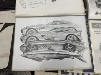 IMG_1006.JPEG