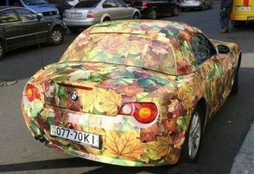 the-fall-car..jpg