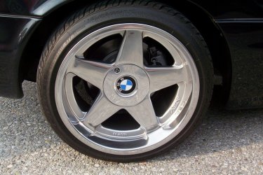 Eigene Bilder Tei.jpg