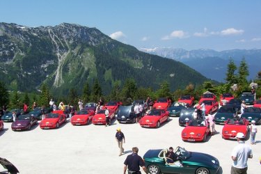 Eigene Bilder Tei.jpg