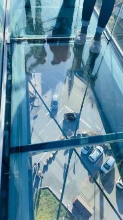 IMG_7350.jpeg