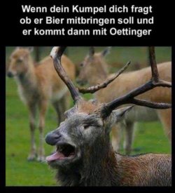FB_IMG_1730651593706.jpg