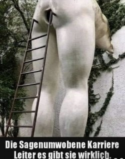 1730832016242.jpeg