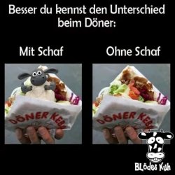 IMG_0732.jpeg