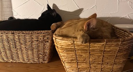 IMG_6891.jpeg