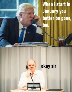 1730968443118.png