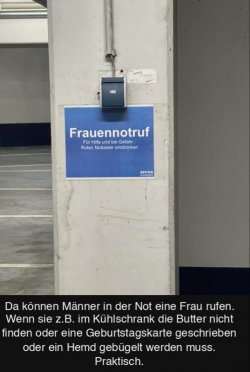 20241107_201426.jpg