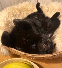 IMG_6895.jpeg