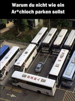1000029784.jpg