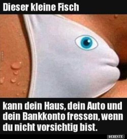 kl. Fisch.jpg