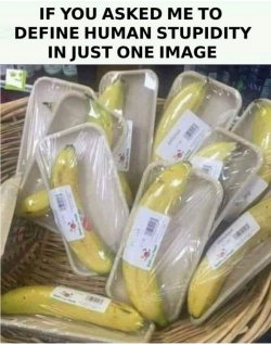 1000029800.jpg