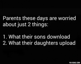 1731792513932.png
