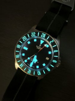 FXD-GMT-1.jpg