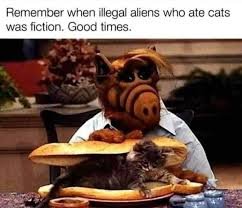 images-13.jpeg