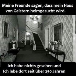 IMG_1033.jpeg