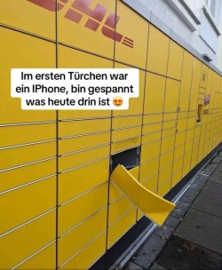 1733170866919.jpeg