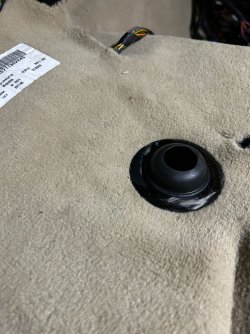IMG_7897.jpeg