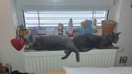 yStgN34J.jpg