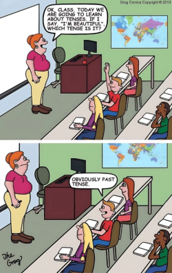 1733737259160.png