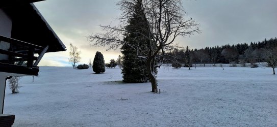20241208_091809.jpg