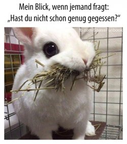 IMG_1498.jpeg