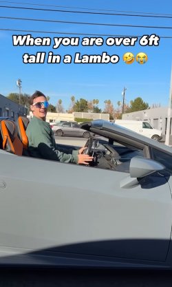 Tall Lambo.jpeg