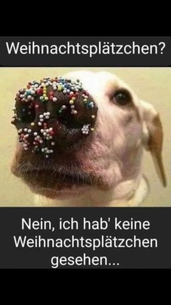 IMG_1582.jpeg