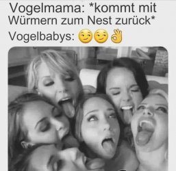 FB_IMG_1734607027750.jpg