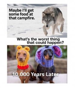 2a1a9484-e58c-42ee-8f1b-0d42dbee7c2e.jpeg