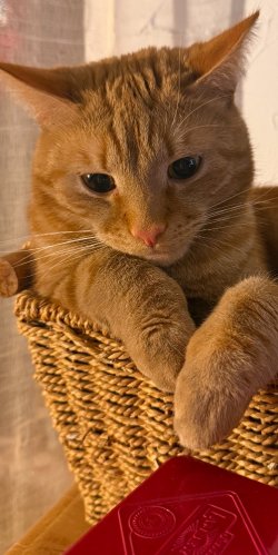 IMG_7143.jpeg