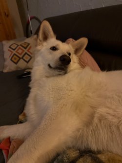 IMG_7138.jpeg