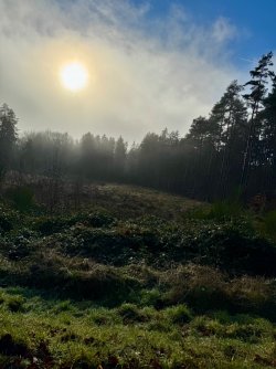 IMG_3880.jpeg