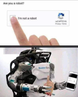 1735150542240.png